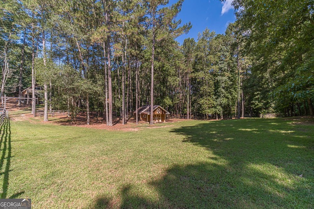 2431 Rabbit Farm Circle Loganville - 29