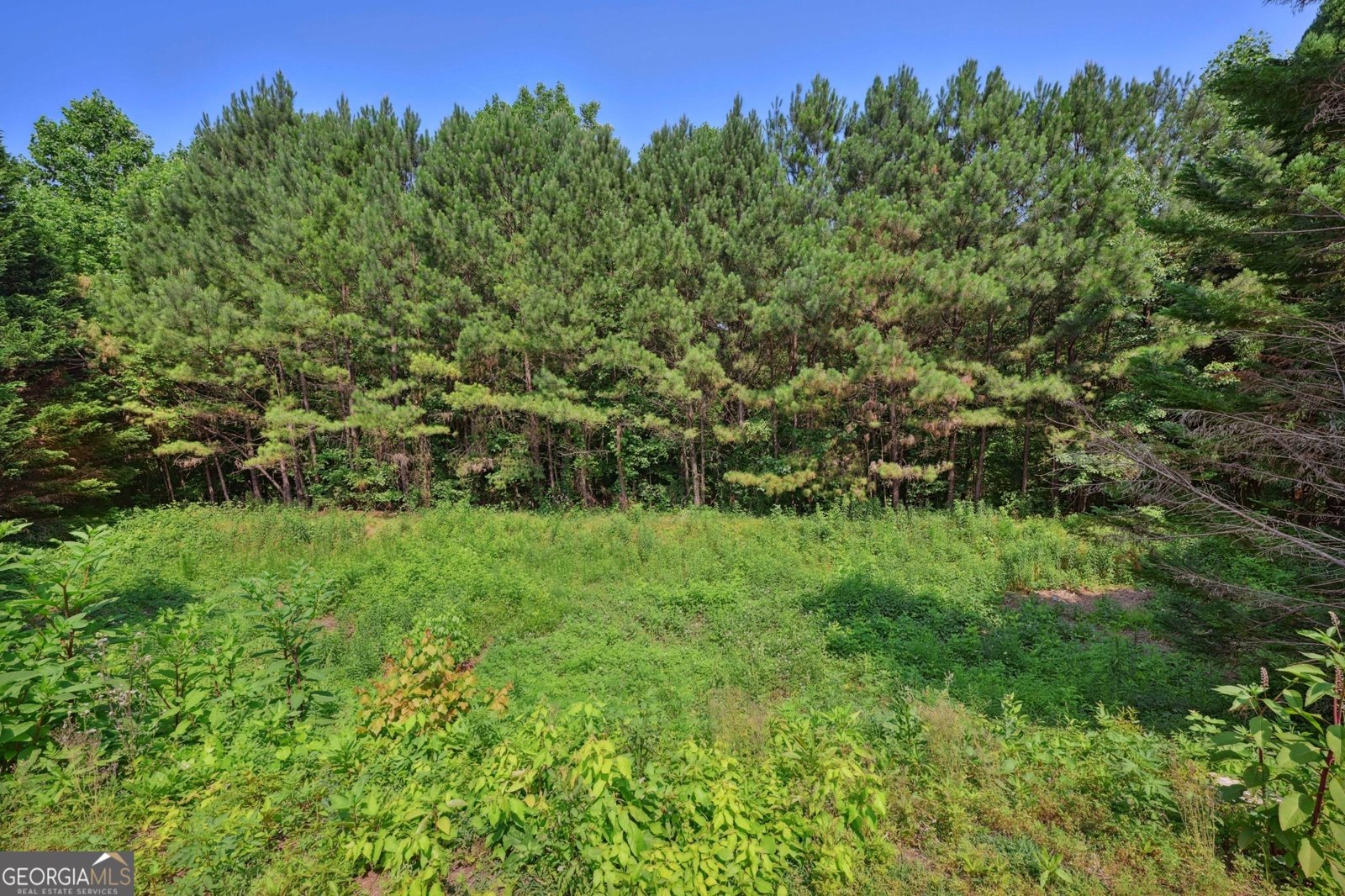 939 Pike Forest Drive Lawrenceville - 16