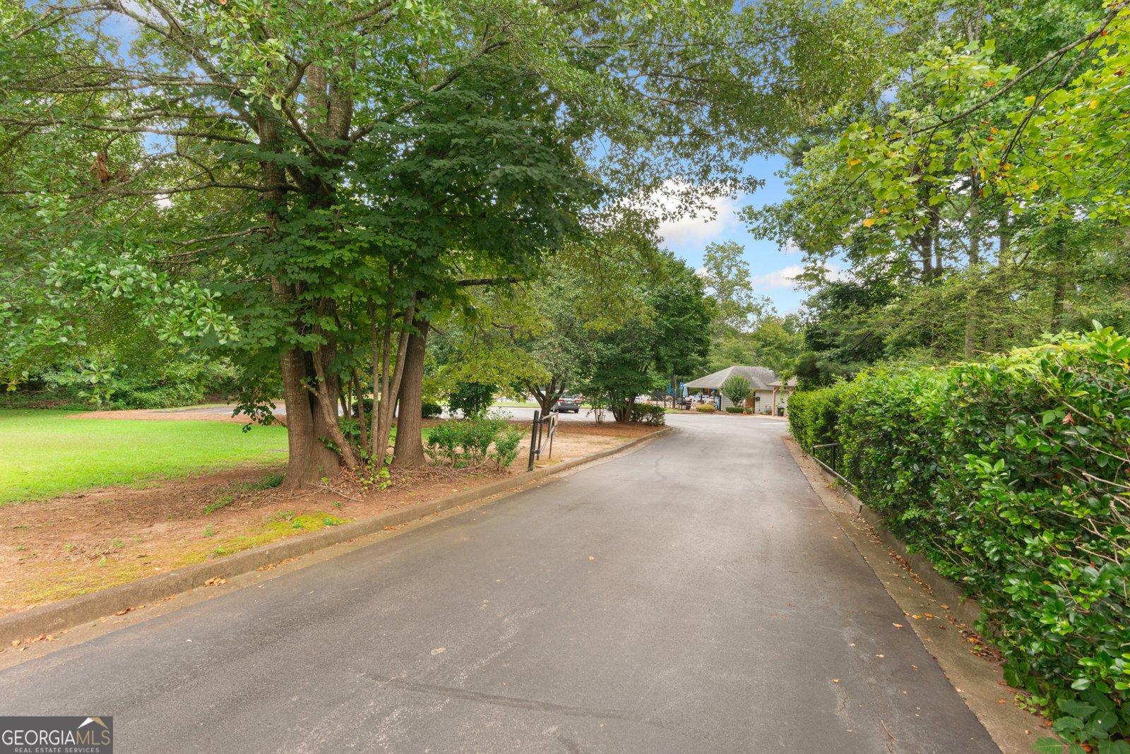 4510 Sagebrush Drive Kennesaw - 33