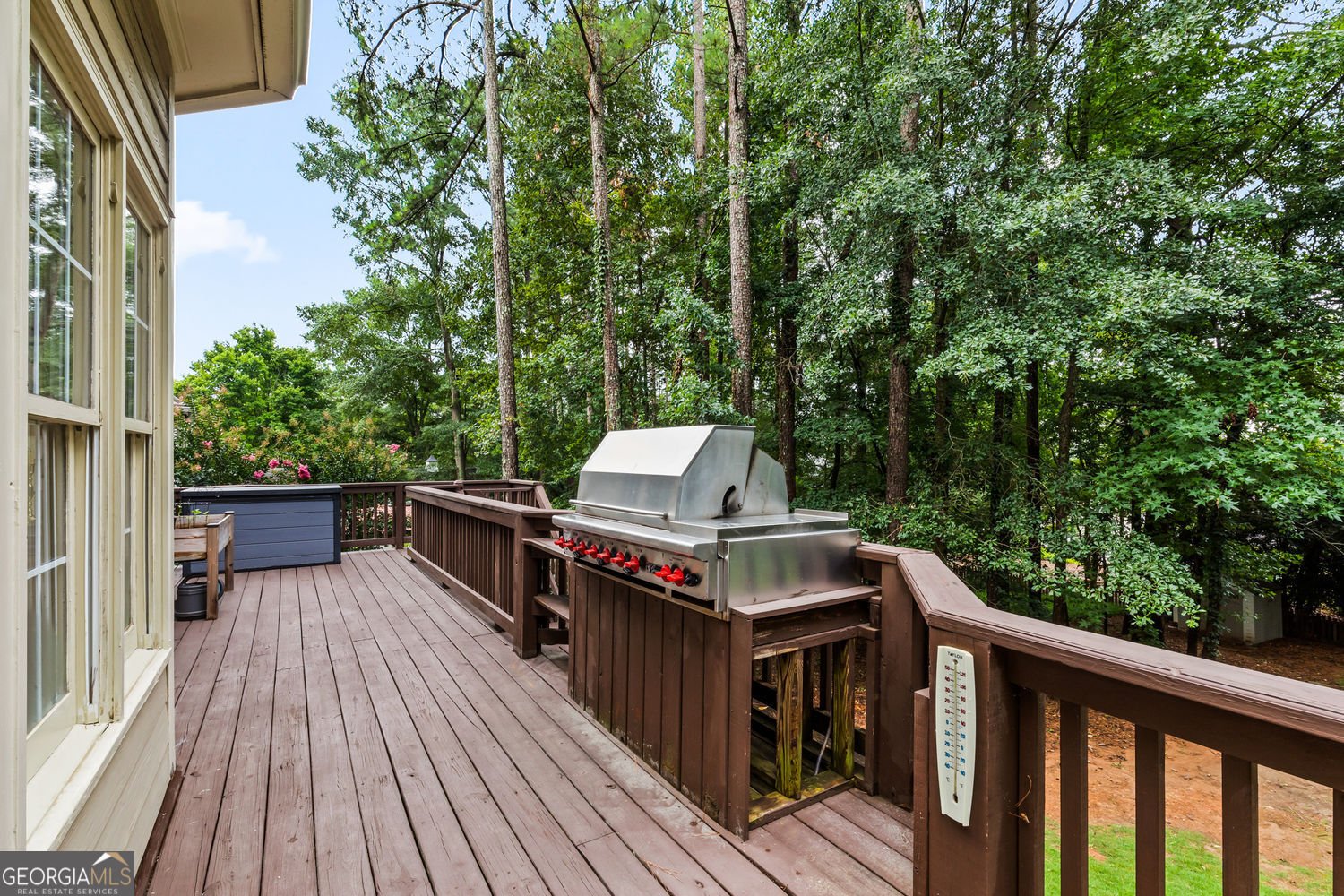 203 Palette Lane Peachtree City - 1