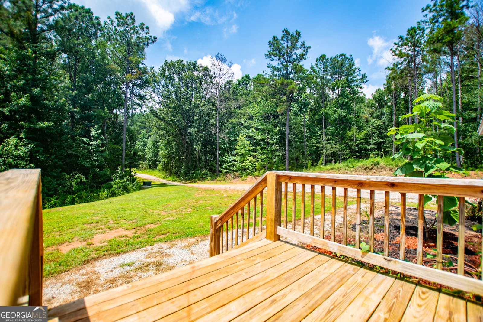 200 Duck Pond Rd Roopville - 5