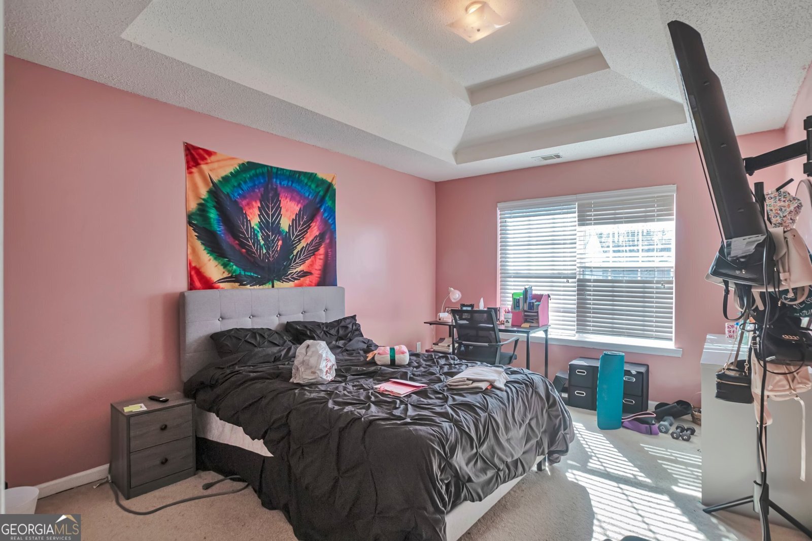 1491 Saint George Place Conyers - 26