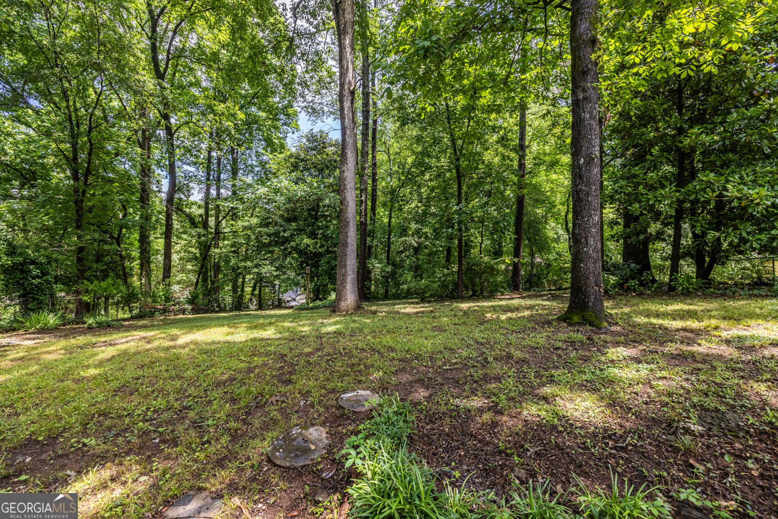 1393 Sagewood Circle Stone Mountain - 59