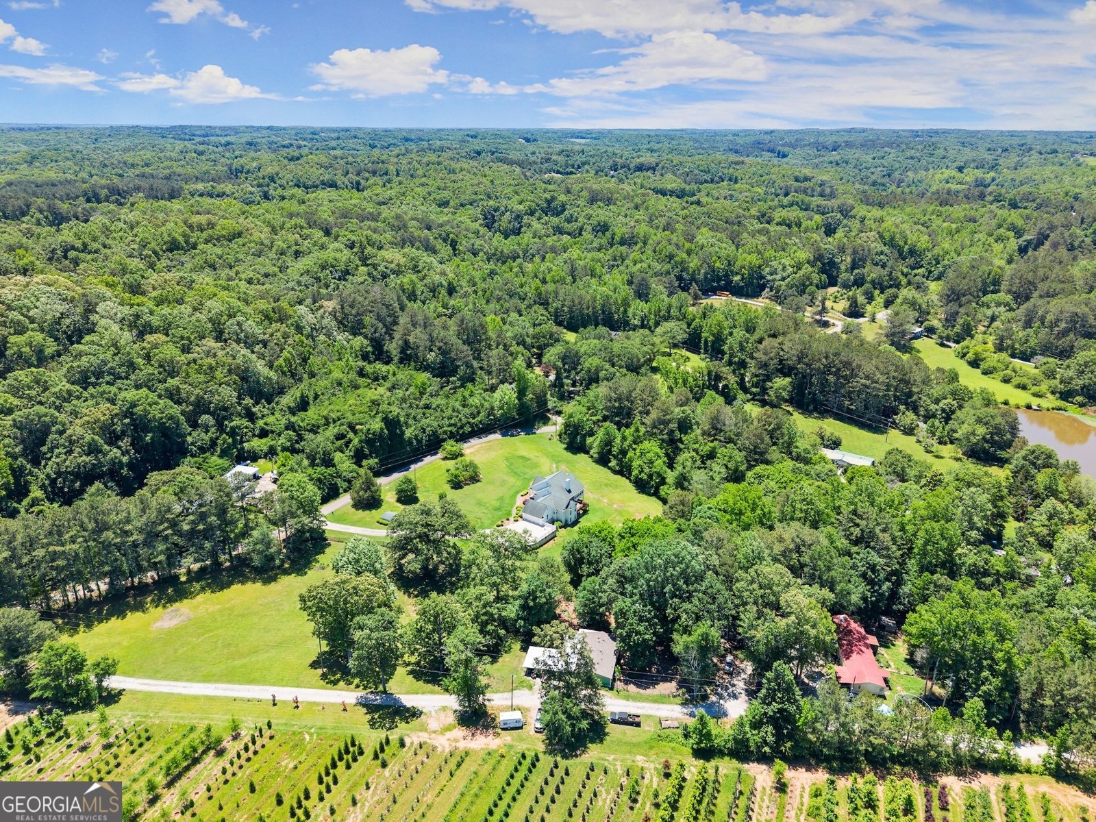 1617 Edwards Mill Road Ball Ground - 15