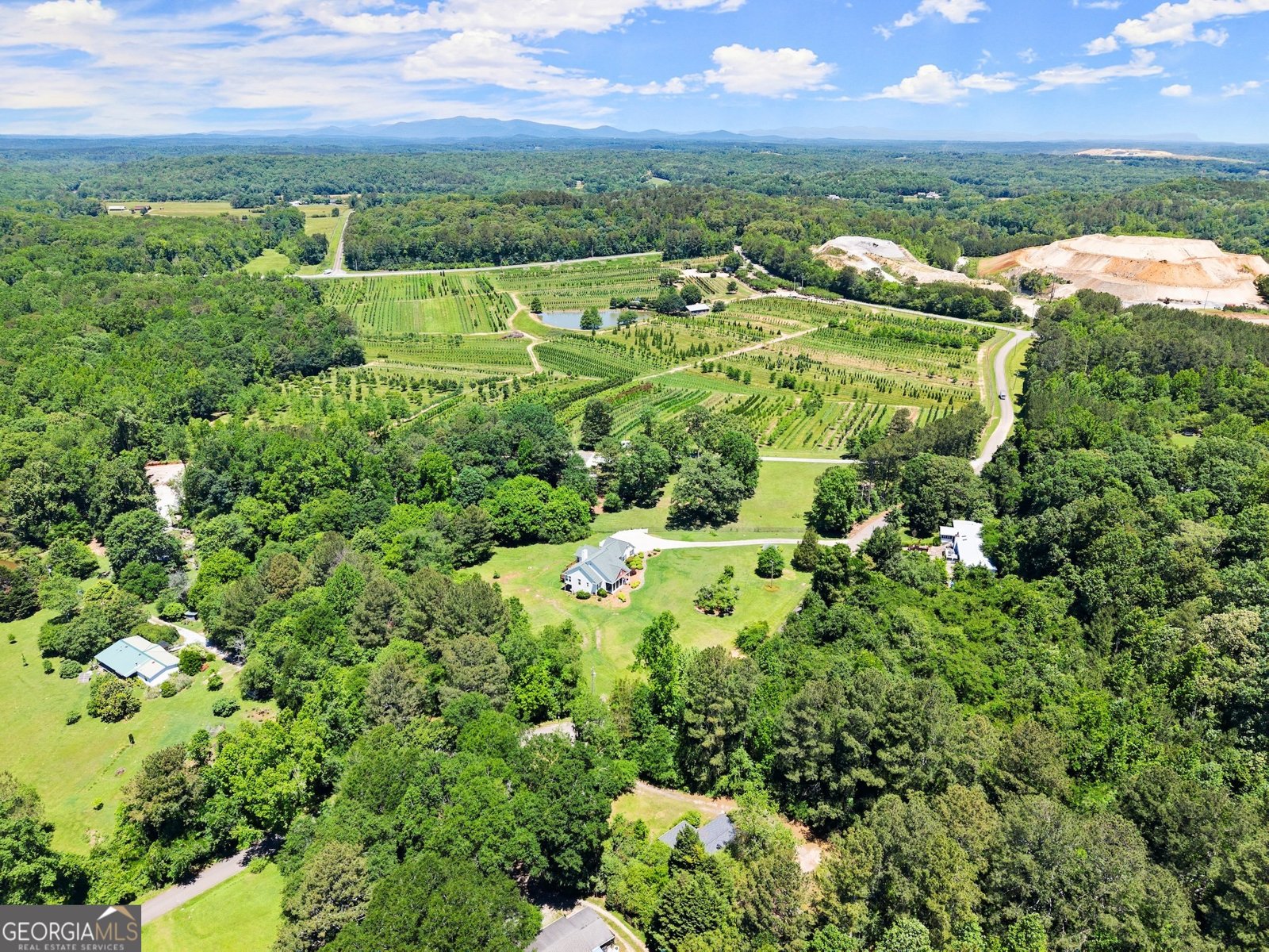 1617 Edwards Mill Road Ball Ground - 18