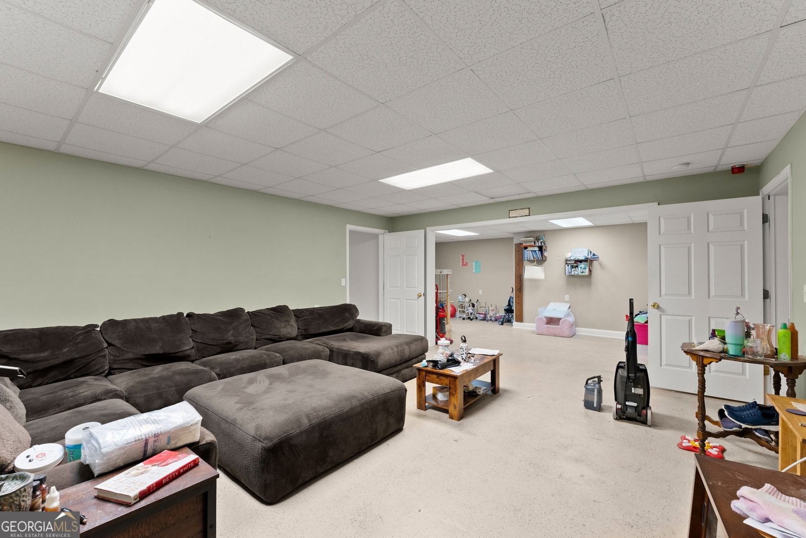 1617 Edwards Mill Road Ball Ground - 2