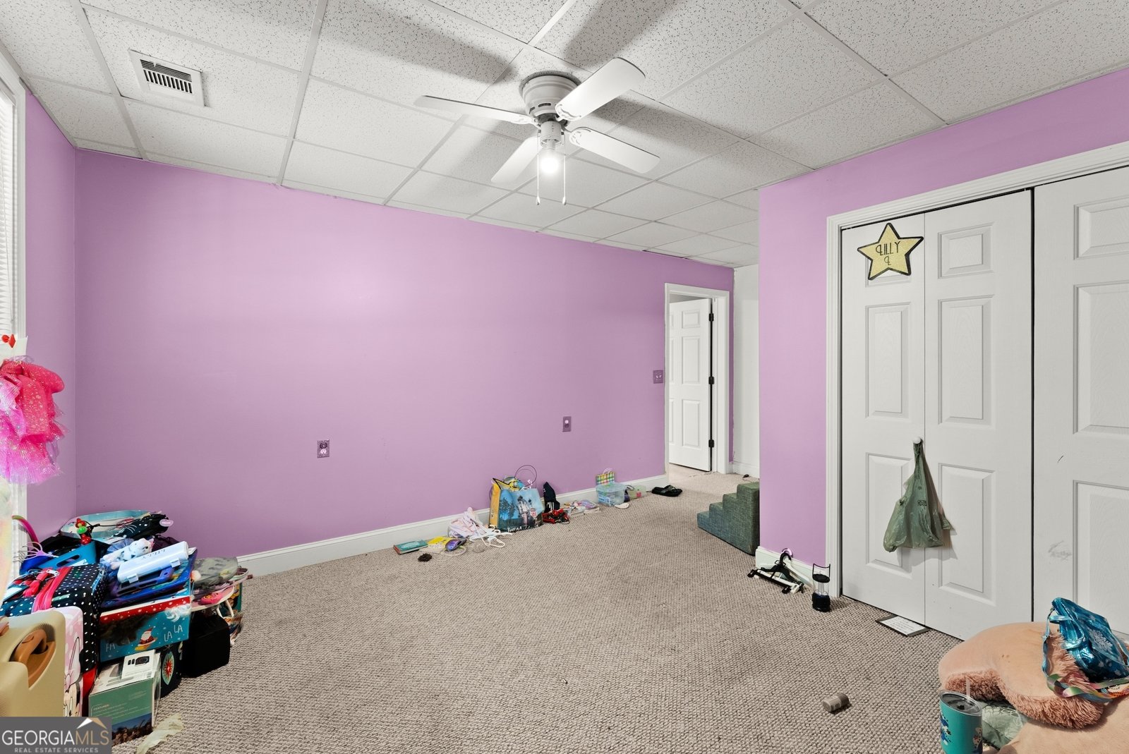 1617 Edwards Mill Road Ball Ground - 6