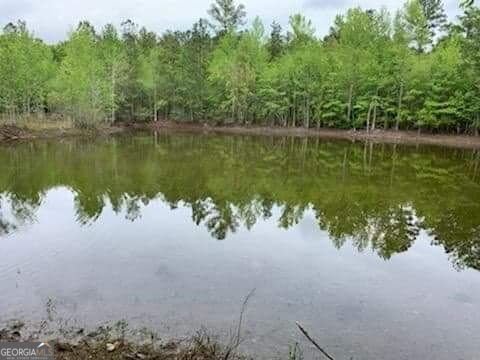 8300 Ga Highway 17 N Newington - 25