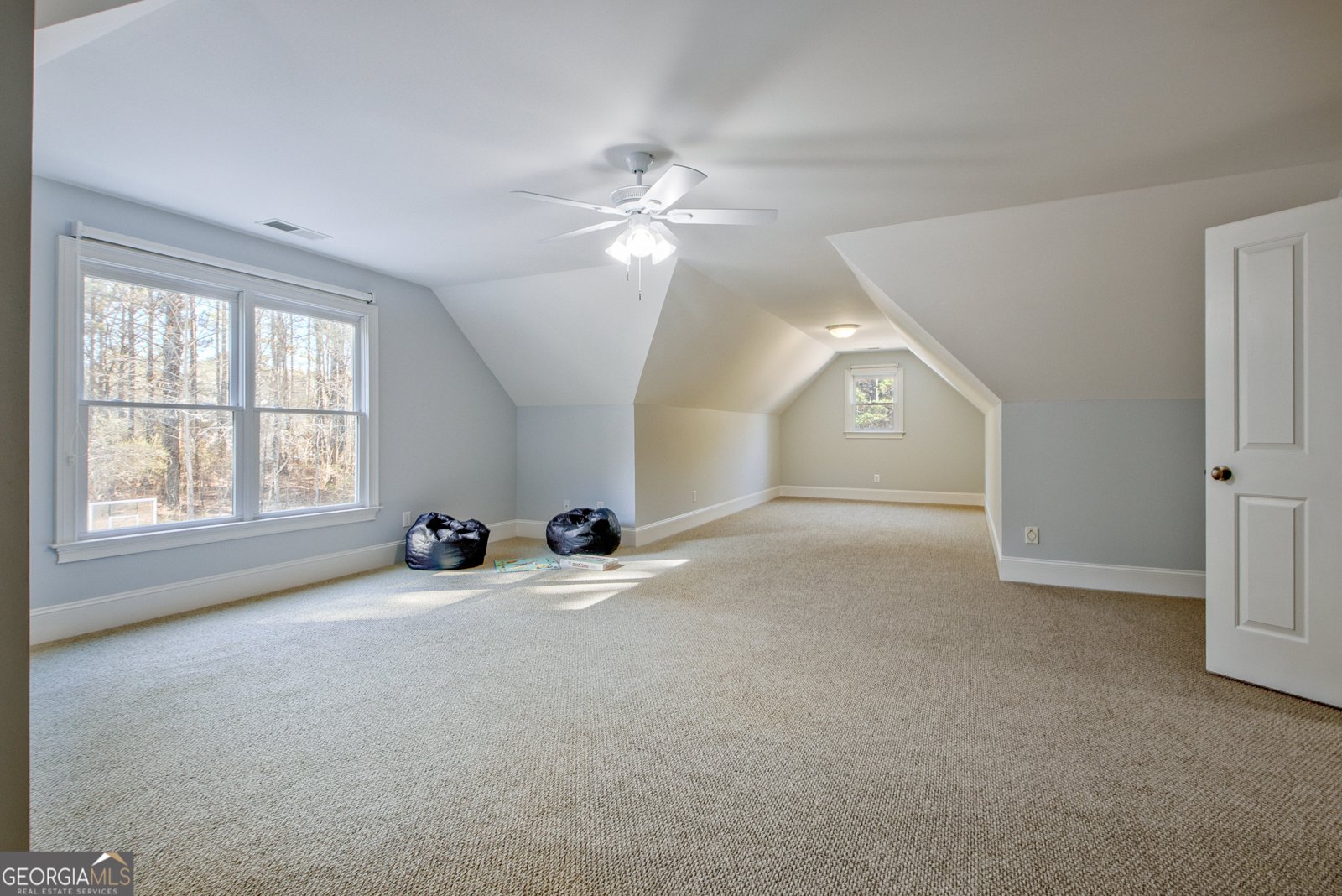 671 Ellison Road Tyrone - 6