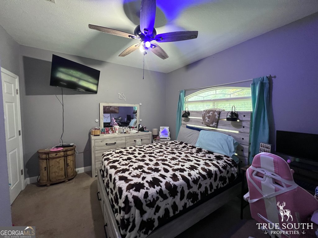 819 Baytree Lane Statesboro - 16