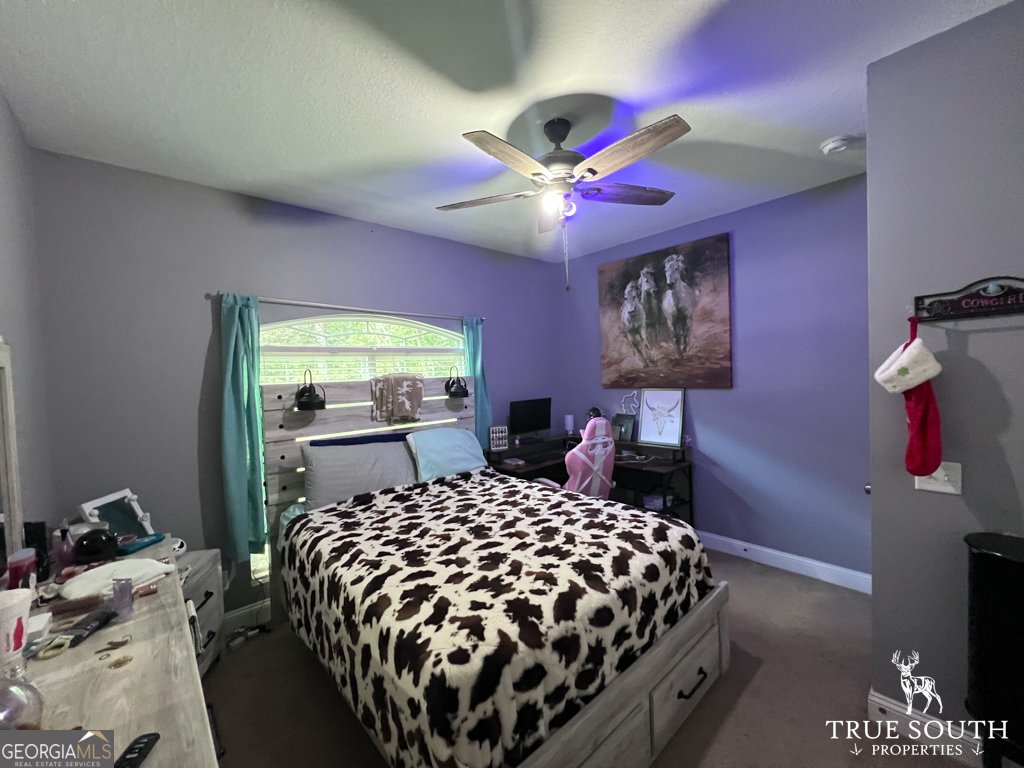 819 Baytree Lane Statesboro - 17