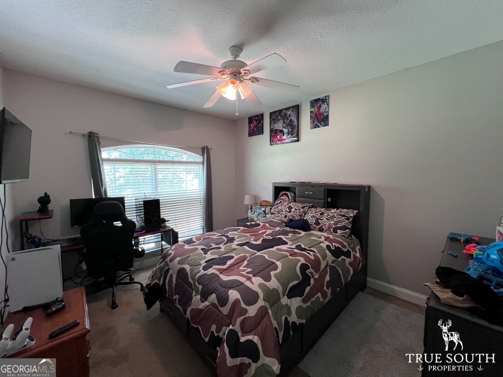 819 Baytree Lane Statesboro - 19