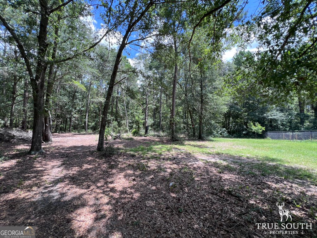 819 Baytree Lane Statesboro - 41