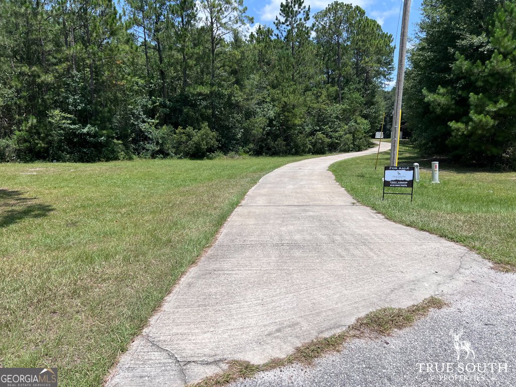 819 Baytree Lane Statesboro - 42