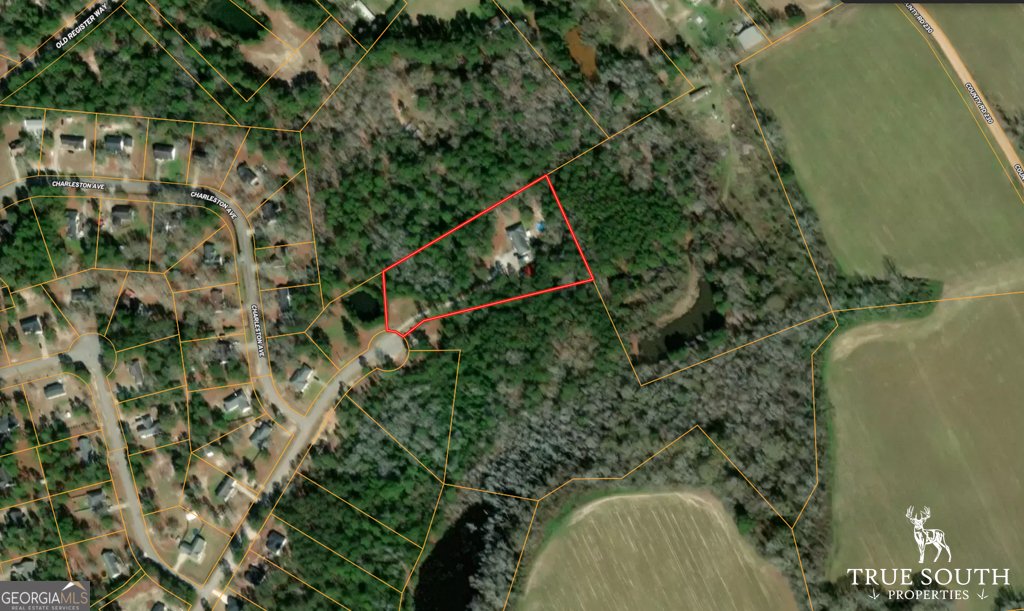 819 Baytree Lane Statesboro - 43
