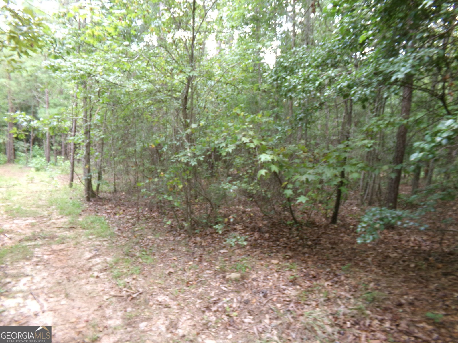 518 Pea Ridge Road Eatonton - 10