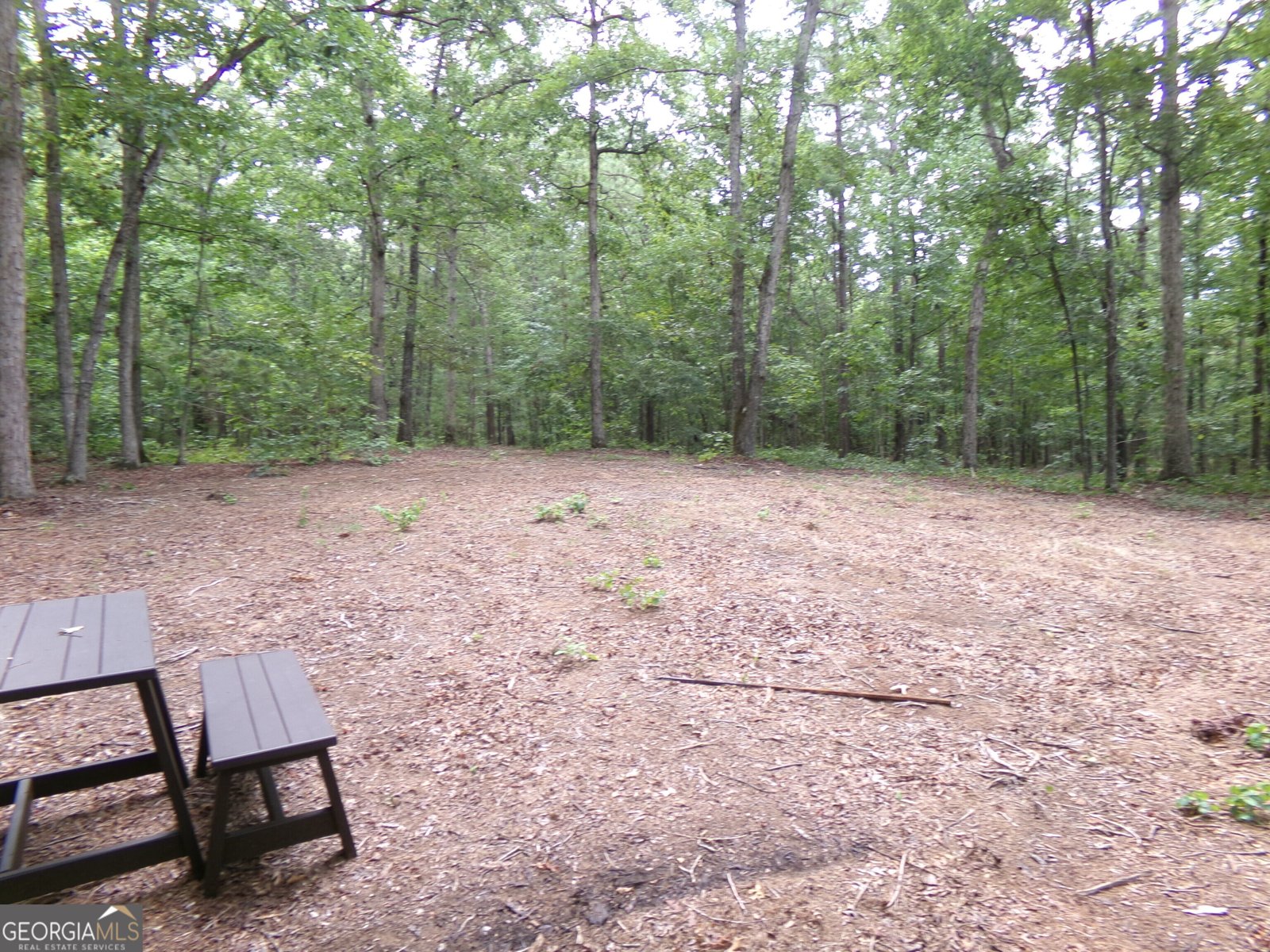 518 Pea Ridge Road Eatonton - 8