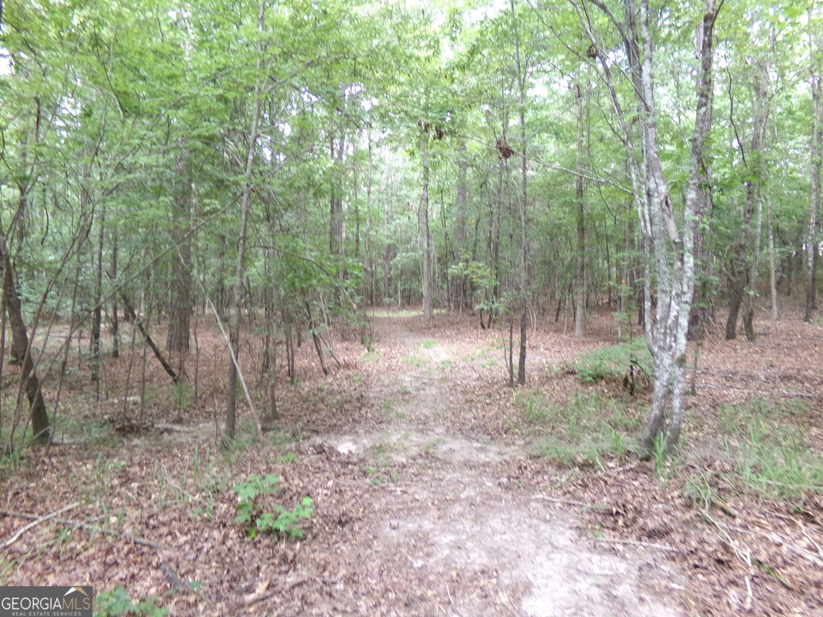 518 Pea Ridge Road Eatonton - 9