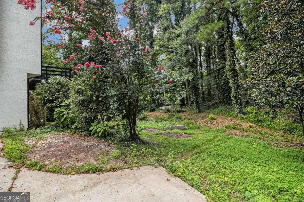 4356 Mikandy Drive Kennesaw - 31