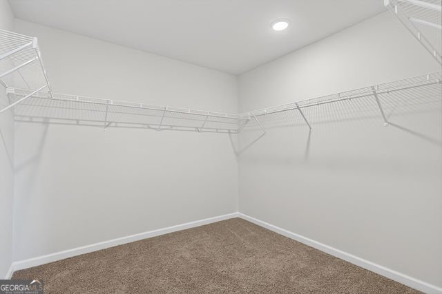 47 Shelby Court Commerce - Photo 27