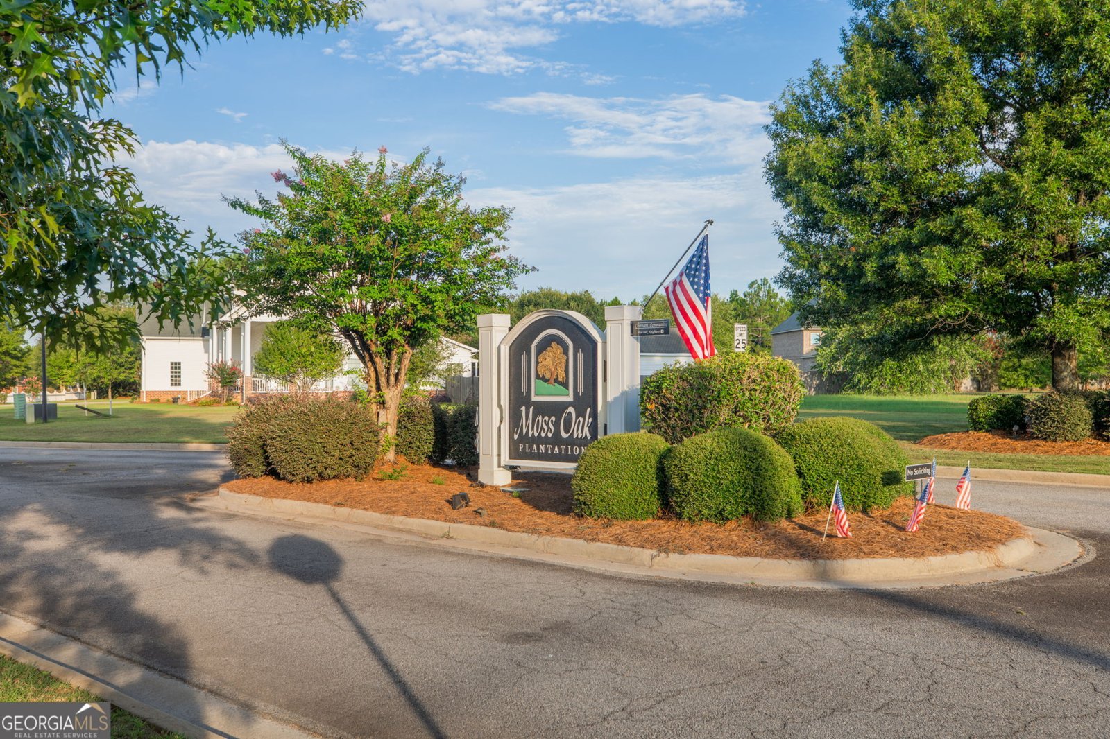 210 Silk Tree Trace Kathleen - 32