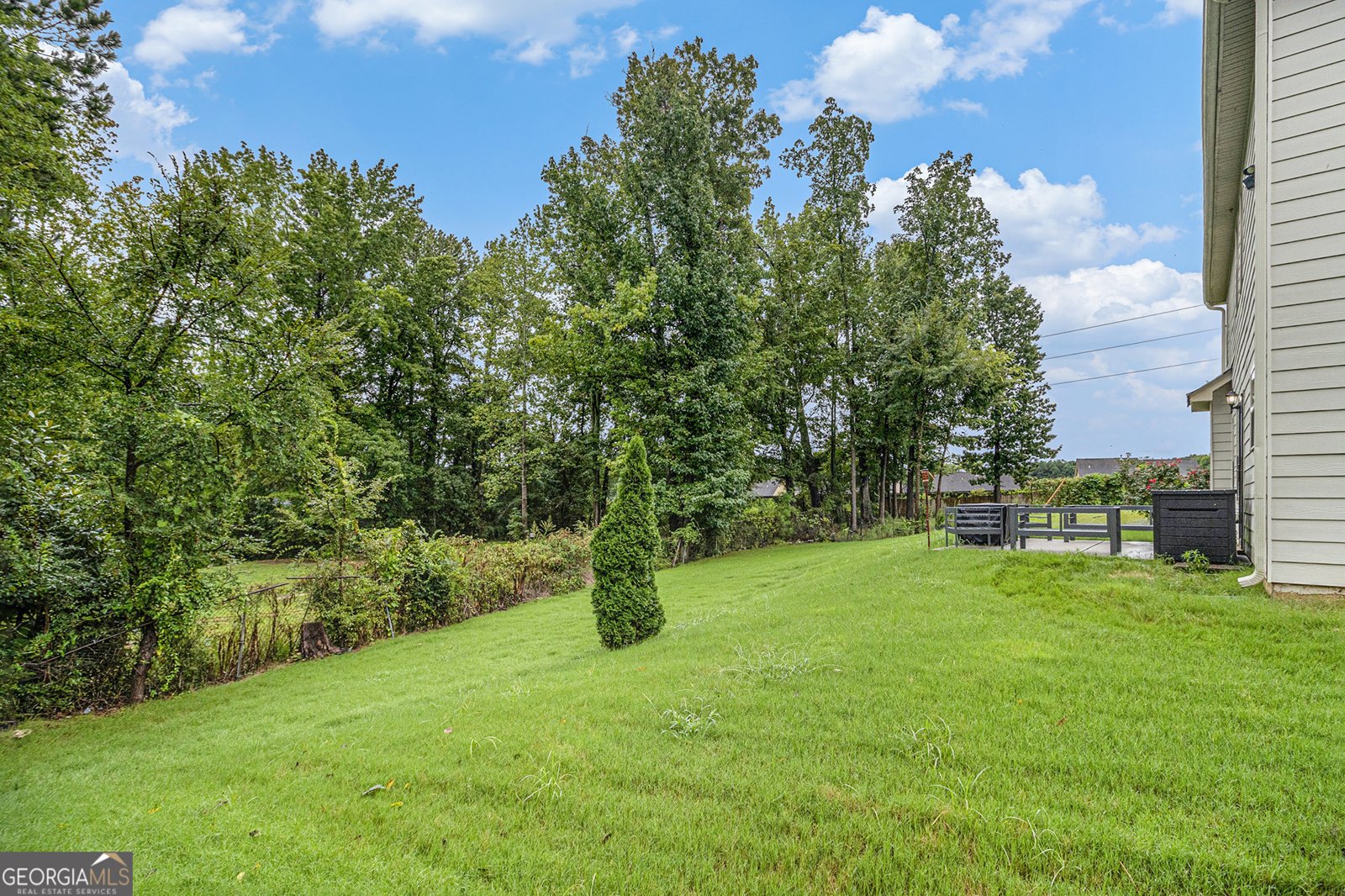 2728 Lower Village Drive Ellenwood - 30