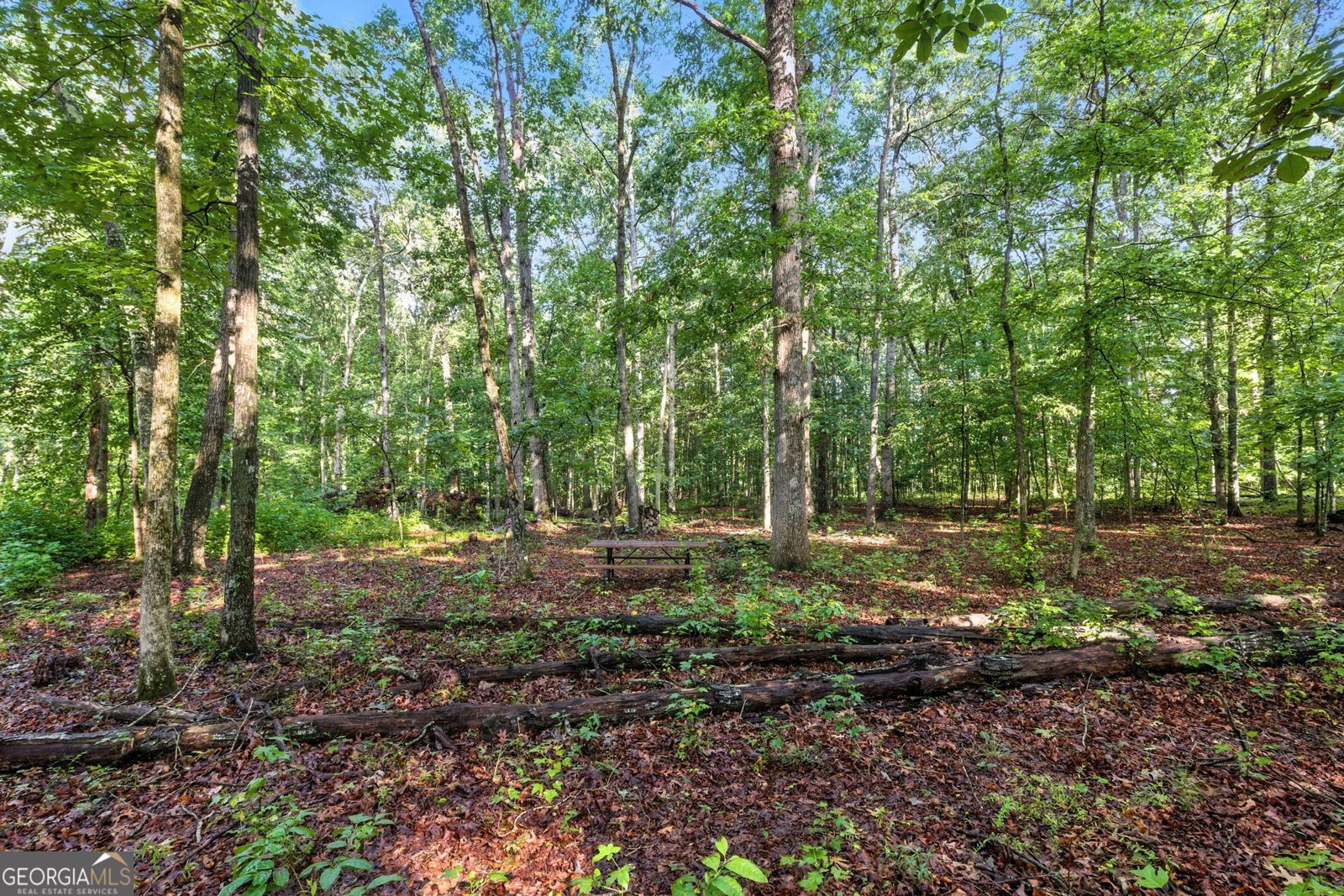 741 Joe Smith Road Mount Airy - 9