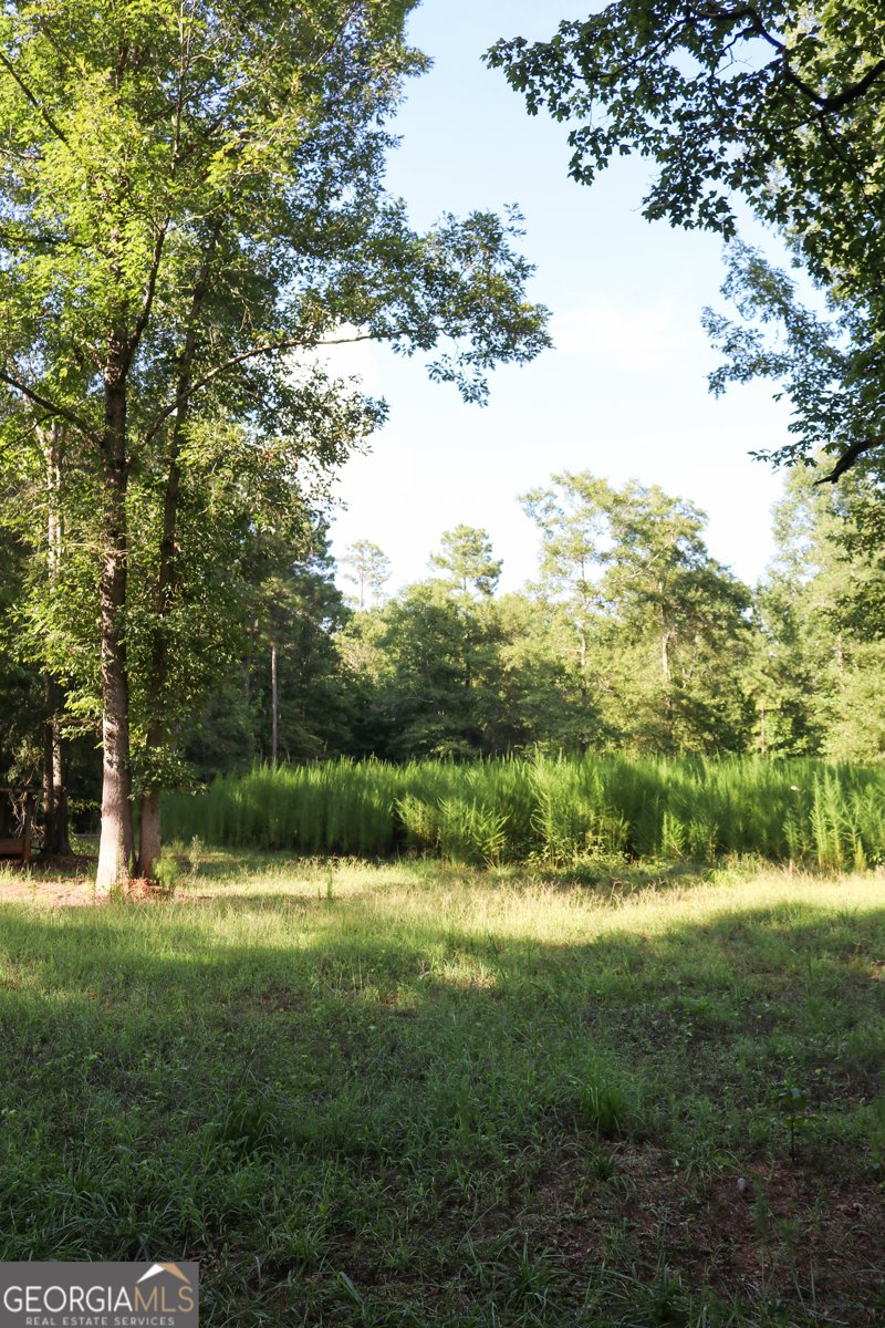 1224 Walker Road Madison - 10