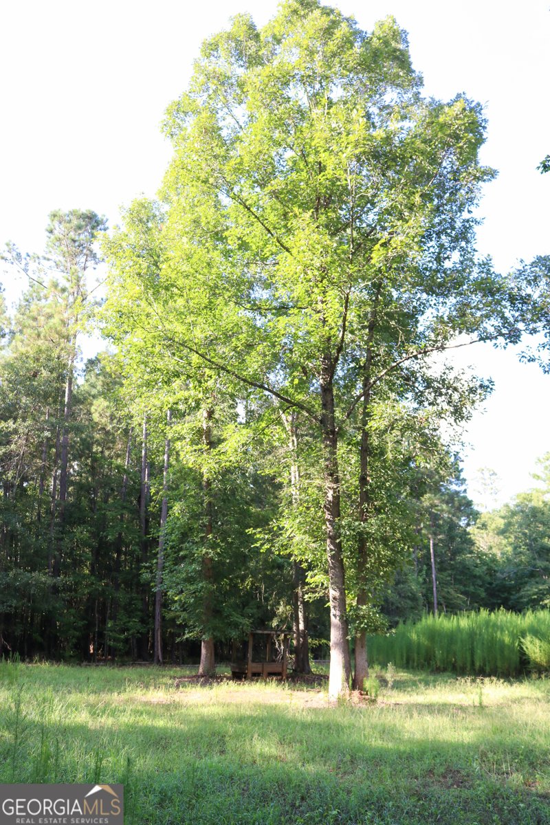 1224 Walker Road Madison - 11