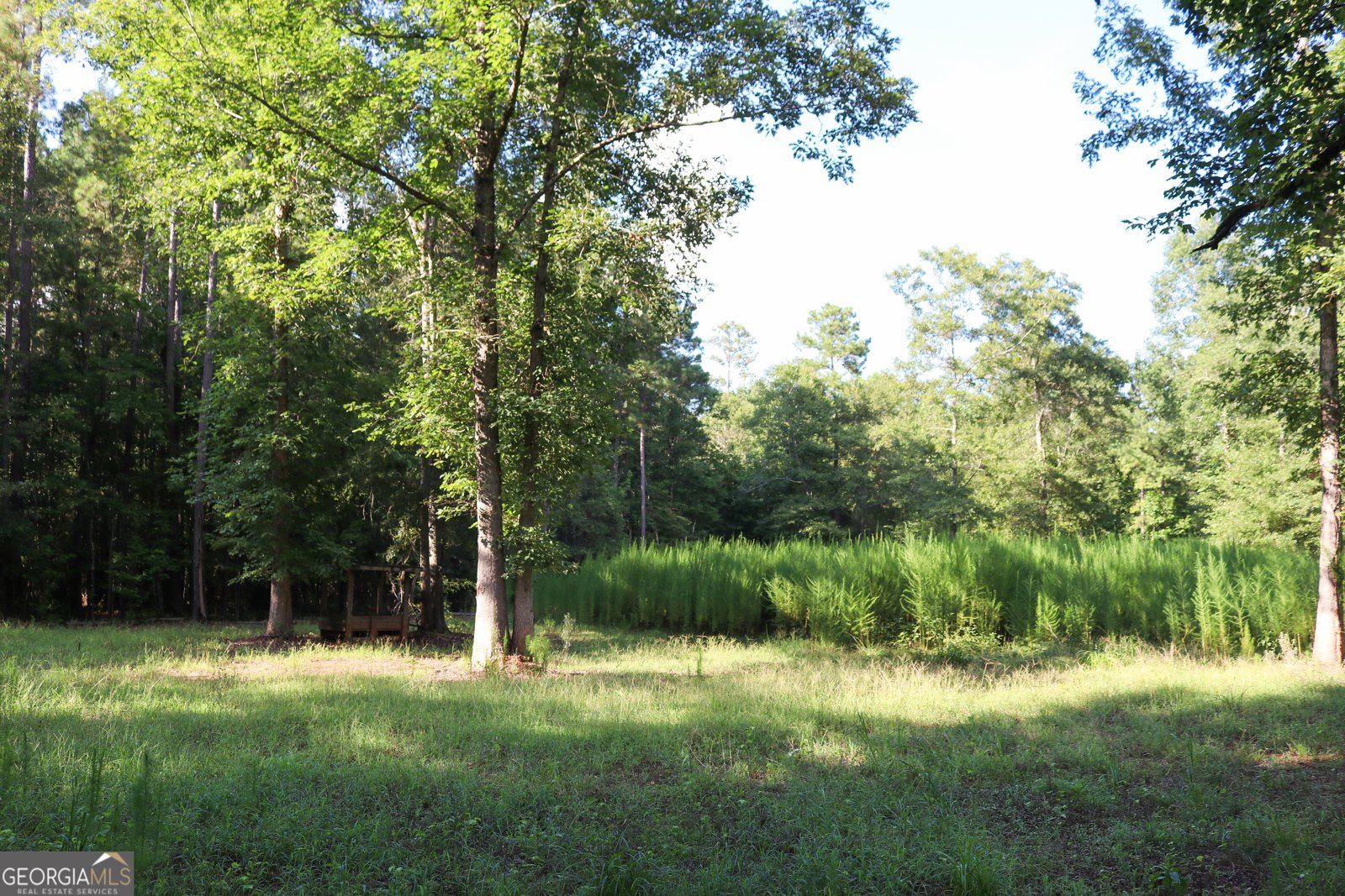 1224 Walker Road Madison - 12
