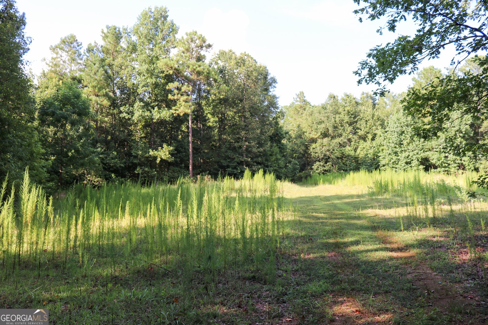 1224 Walker Road Madison - 13
