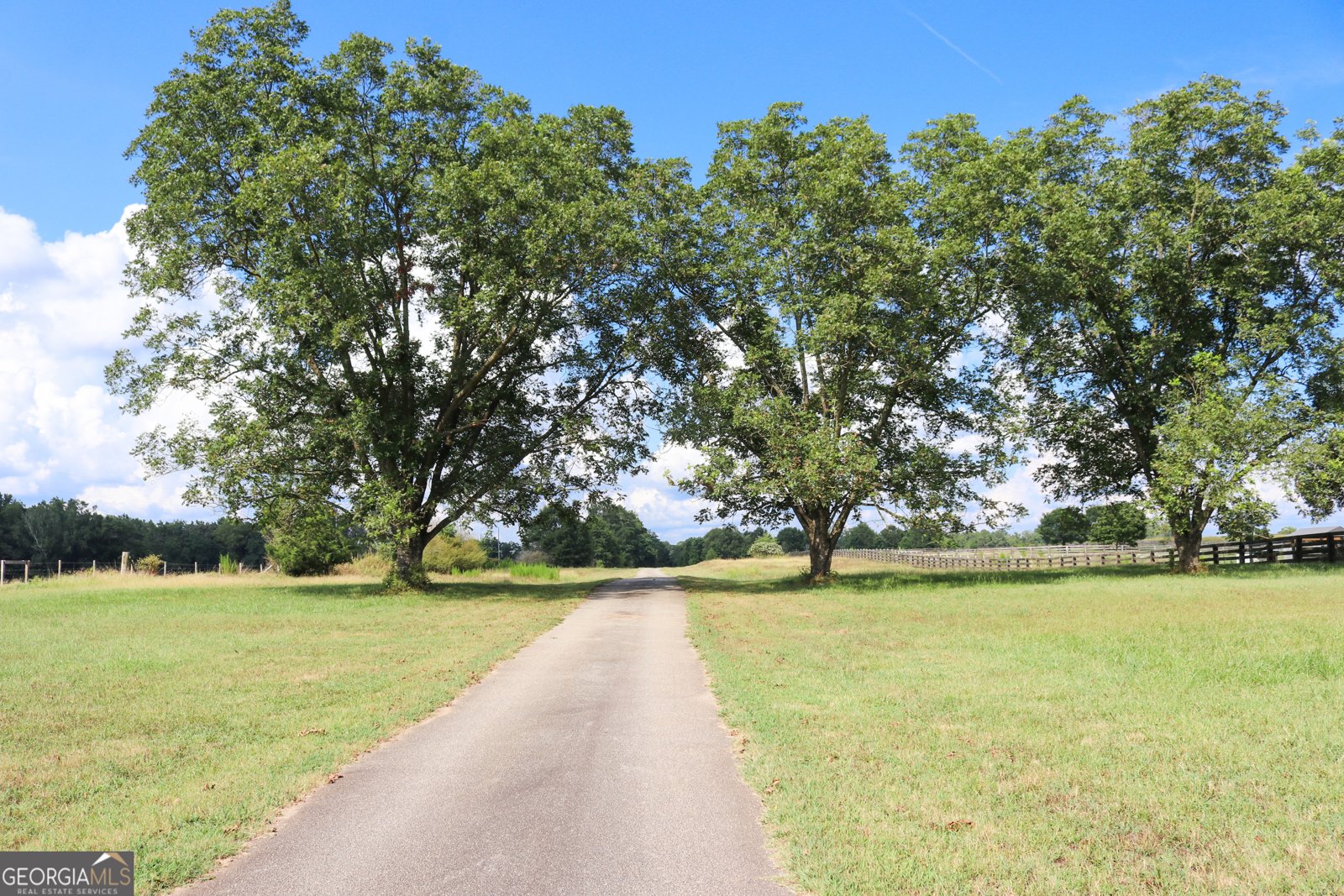 1224 Walker Road Madison - 14