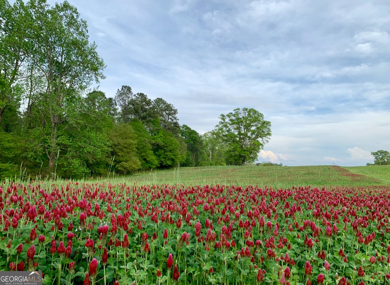 1224 Walker Road Madison - 5