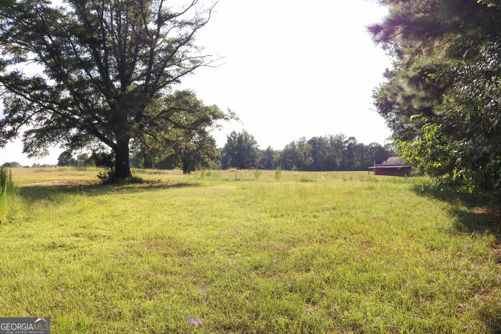 1224 Walker Road Madison - 7
