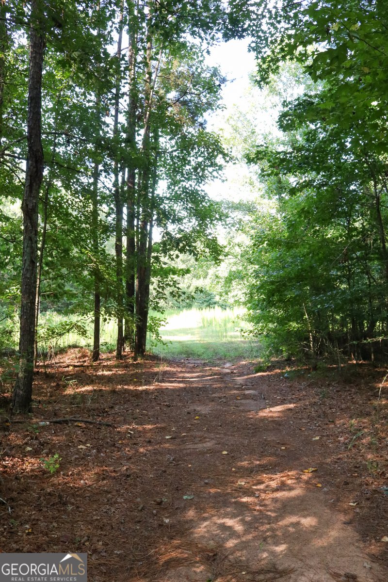 1224 Walker Road Madison - 8
