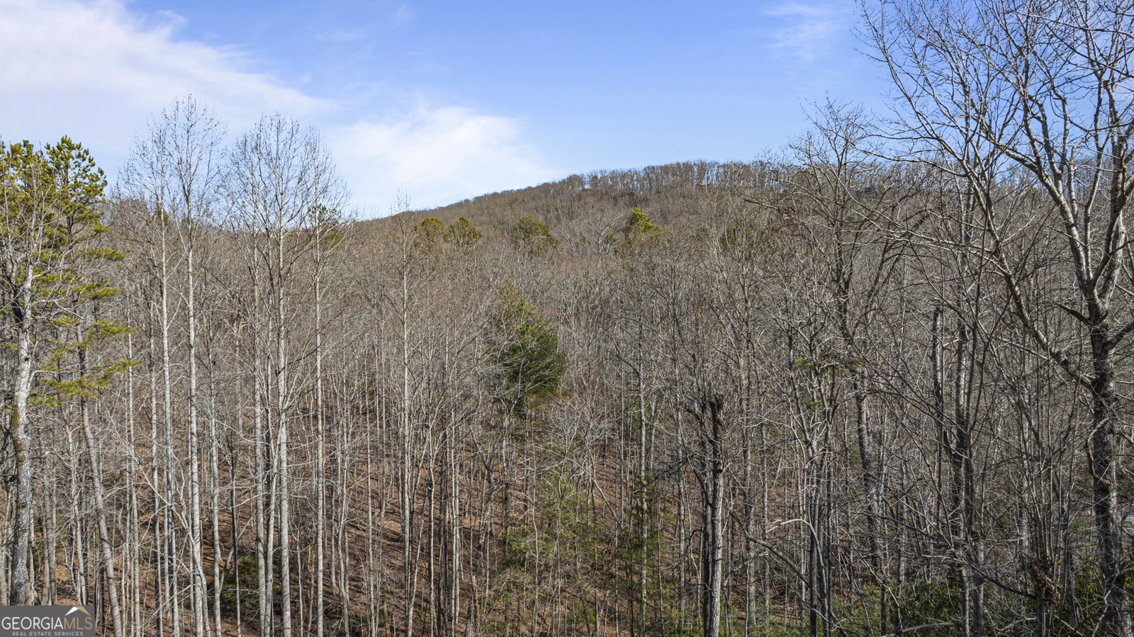 332 Mattie Mitchell Road Morganton - 53