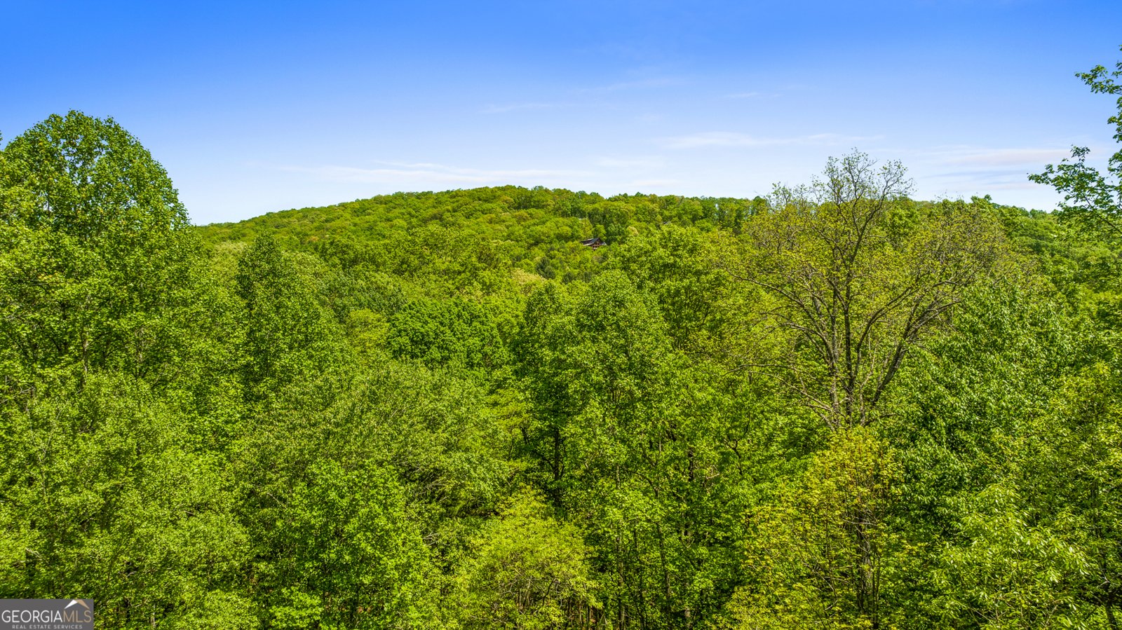 332 Mattie Mitchell Road Morganton - 58