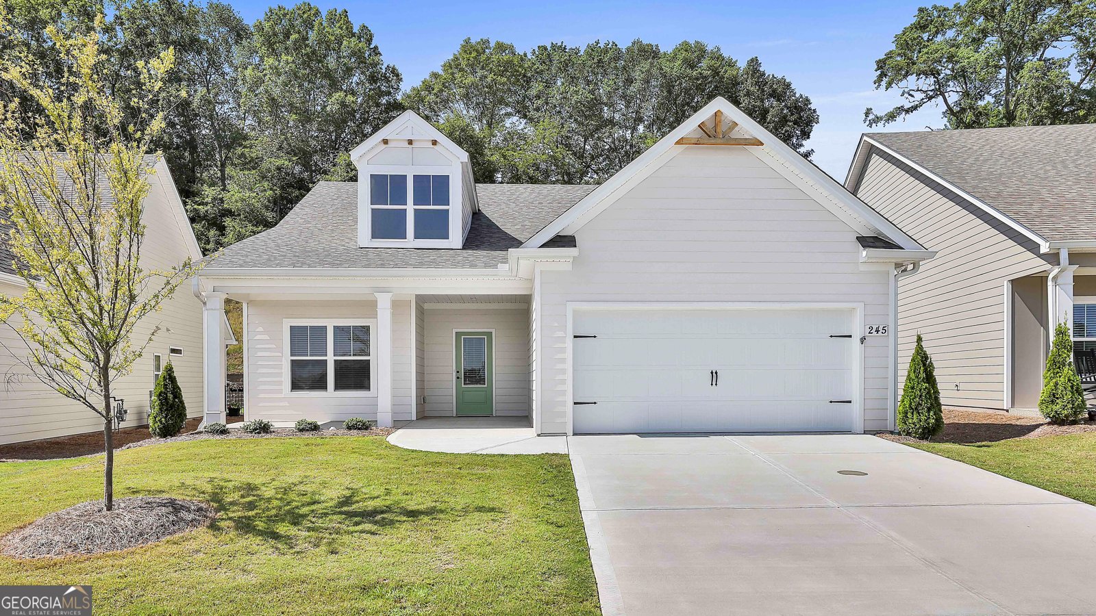 245 Farrell Creek Drive Senoia - 1
