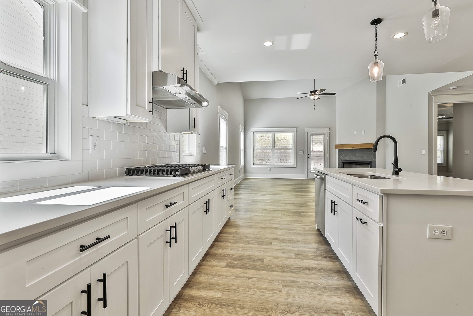 245 Farrell Creek Drive Senoia - 10