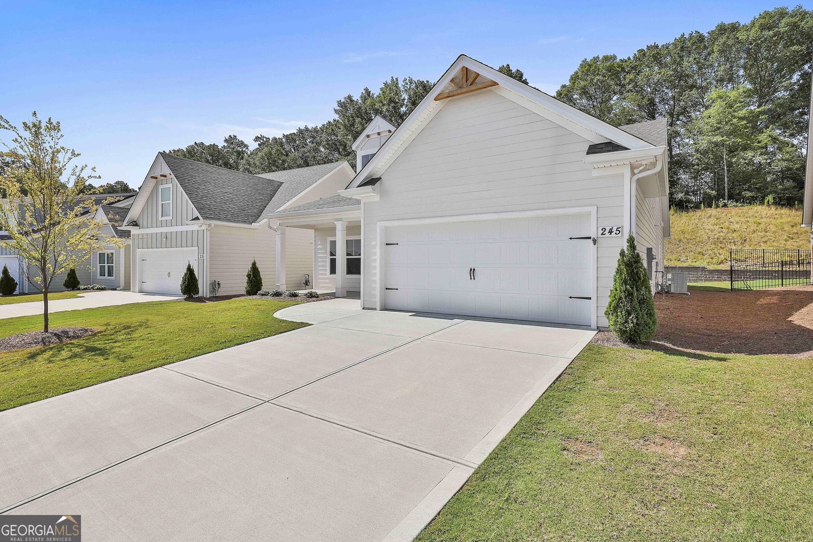 245 Farrell Creek Drive Senoia - 3