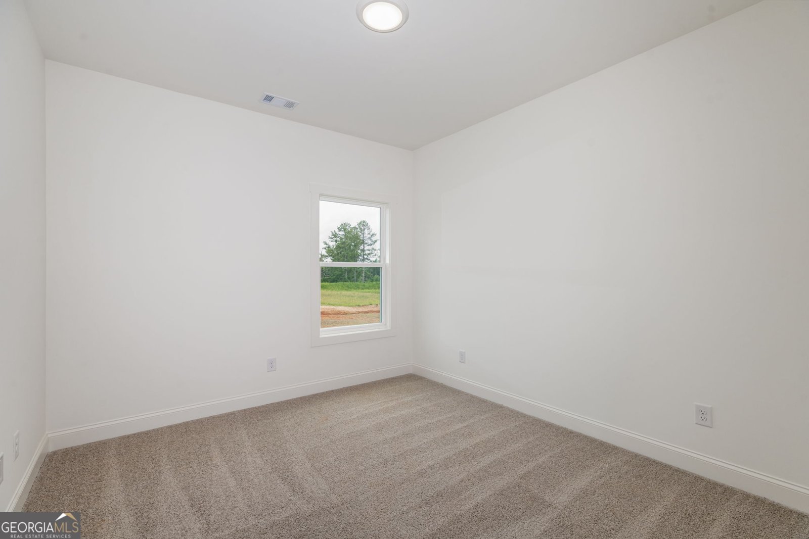 46 Millie Trail Williamson - 38