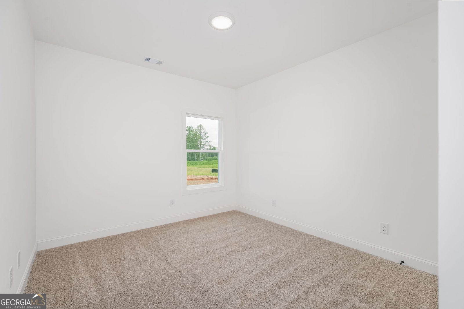 46 Millie Trail Williamson - 39