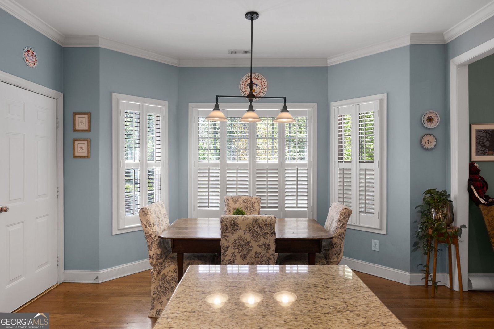 1561 Aiken Chafin Lane McDonough - 22