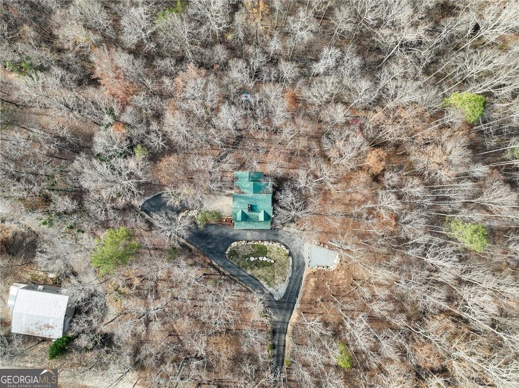 281 Wildwood Court Dawsonville - 15