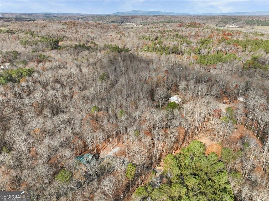 281 Wildwood Court Dawsonville - 19