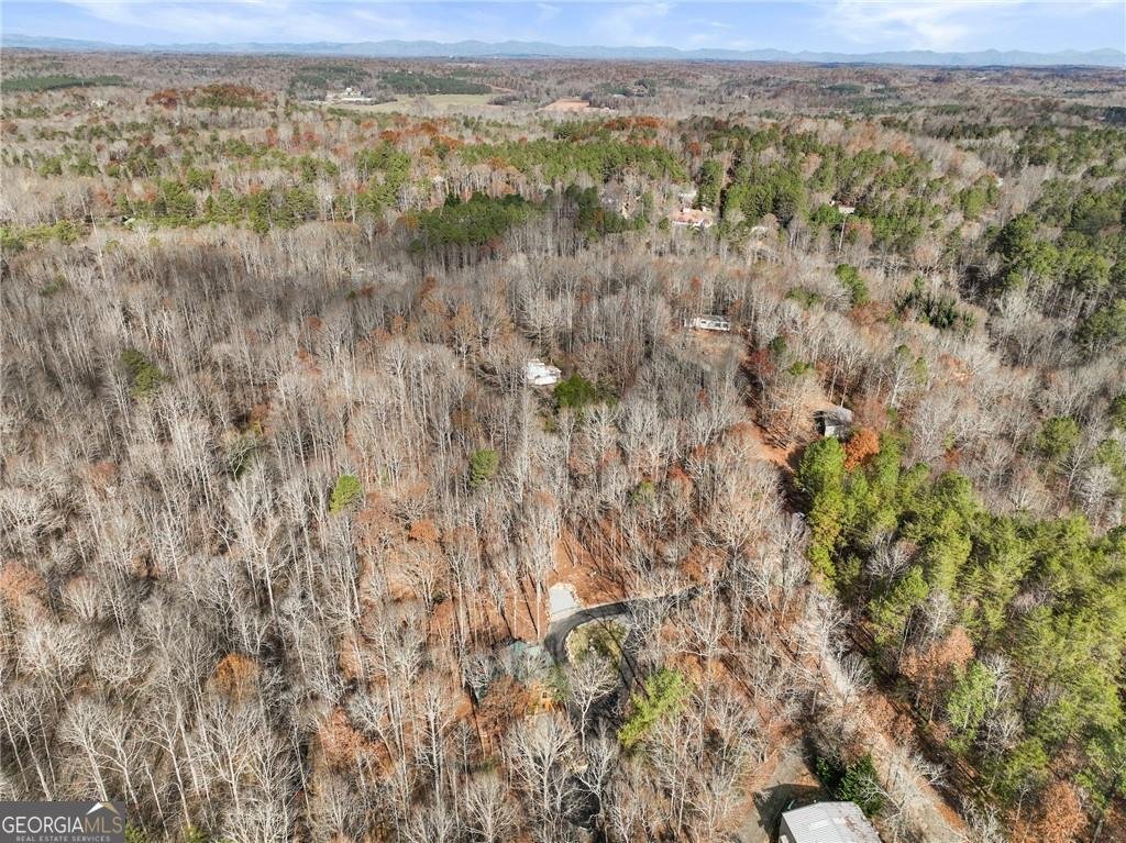 281 Wildwood Court Dawsonville - 57