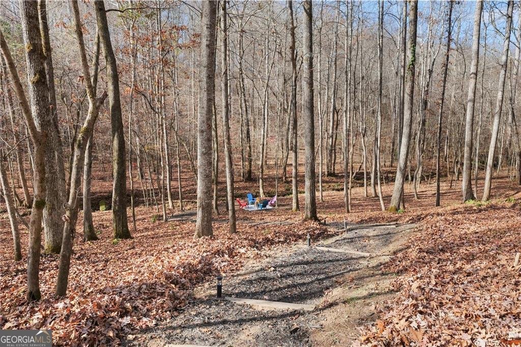 281 Wildwood Court Dawsonville - 9