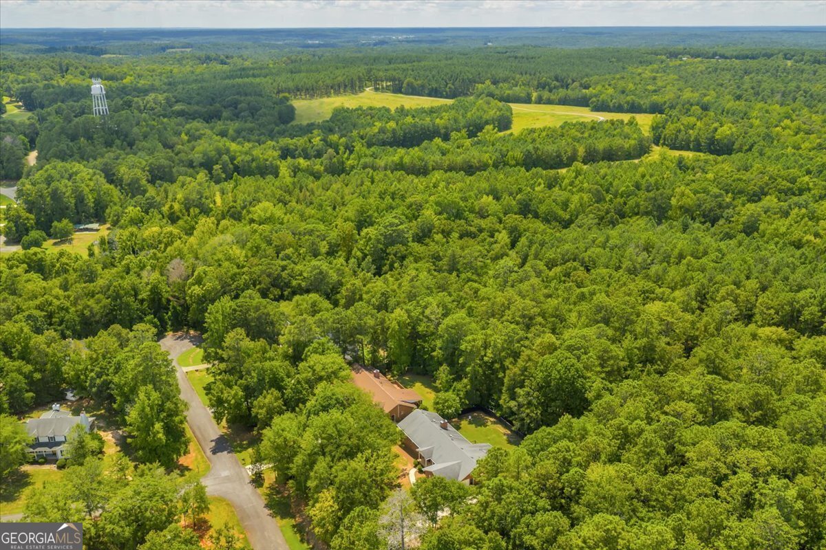 298 Lakeridge Court Macon - 61