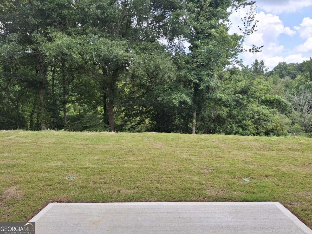 2865 Bullfrog Lane Lot 169 Gainesville - 3