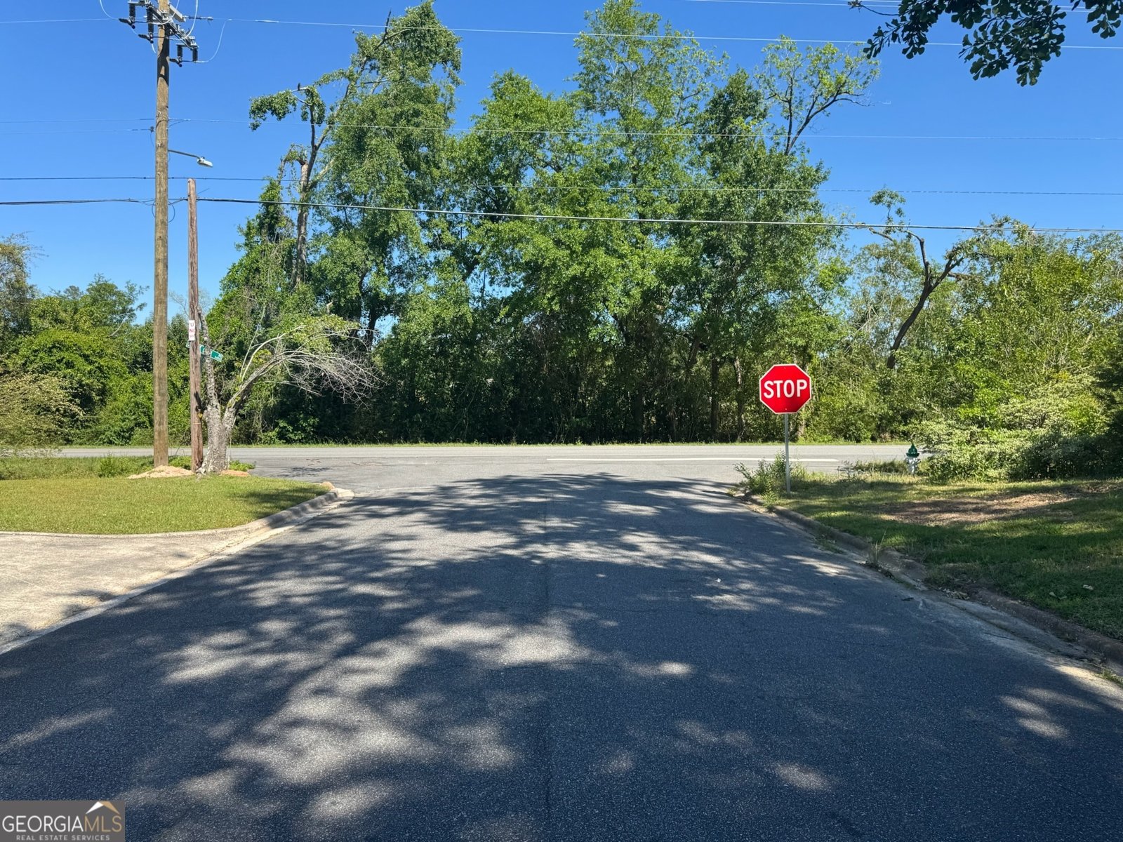 100 Sunnymeade Drive Valdosta - 45